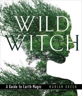 Book cover for Wild Witch