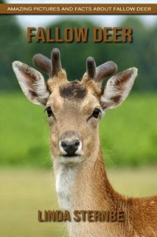 Cover of Fallow Deer