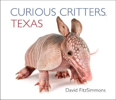 Book cover for Curious Critters Texas