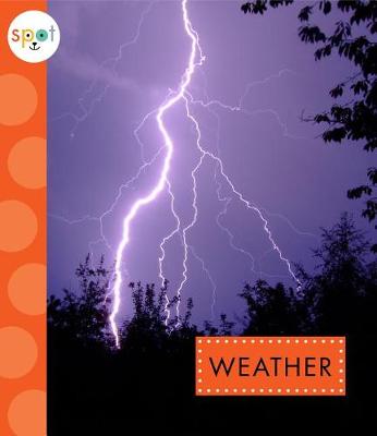 Book cover for Weather