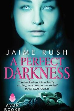 Cover of A Perfect Darkness