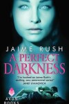 Book cover for A Perfect Darkness