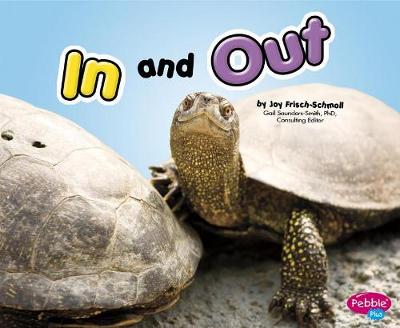 Book cover for In and out (Exploring Opposites)