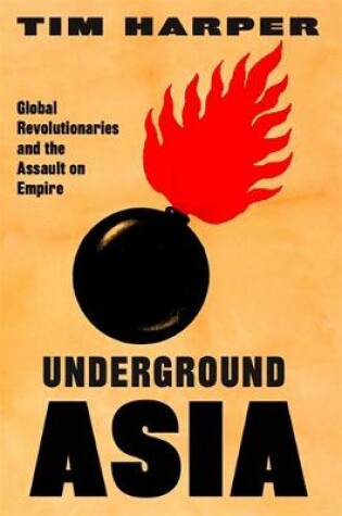 Cover of Underground Asia