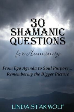Cover of 30 Shamanic Questions for Humanity: From Ego Agenda to Soul Purpose ... Remembering the Bigger Picture