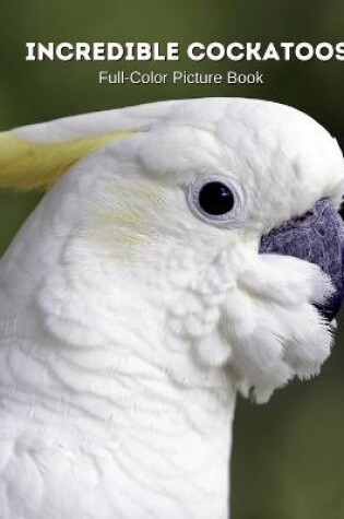 Cover of Incredible Cockatoos Full-Color Picture Book