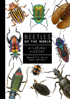 Cover of Beetles of the World