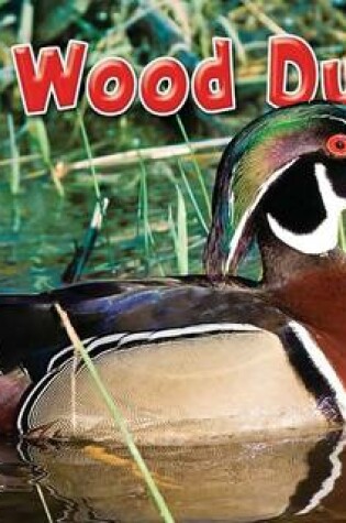 Cover of Wood Duck