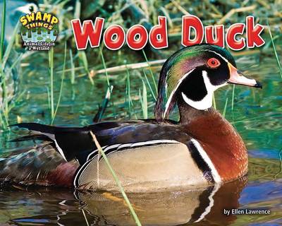 Book cover for Wood Duck