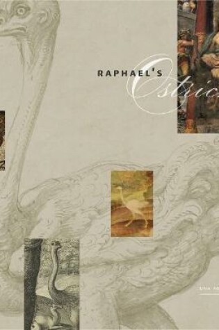 Cover of Raphael's Ostrich