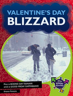 Book cover for Valentine's Day Blizzard
