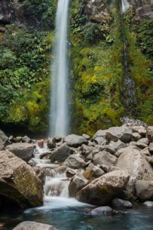 Cover of Dawson Falls Egmont National Park New Zealand Journal