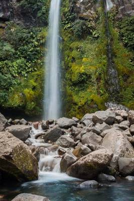 Book cover for Dawson Falls Egmont National Park New Zealand Journal