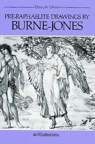 Cover of Pre-Raphaelite Drawings by Burne-Jones