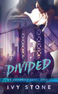 Book cover for Divided