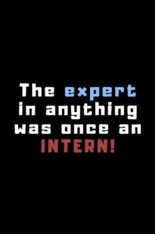 Cover of The Expert in Anything Was Once an Intern!