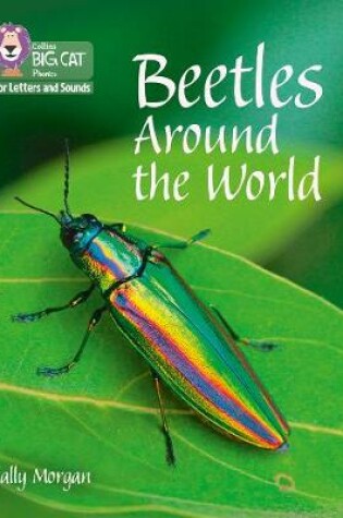 Cover of Beetles Around the World