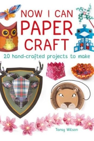 Cover of Now I Can Paper Craft: 20 Hand-Crafted Projects to Make