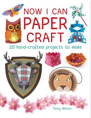 Book cover for Now I Can Paper Craft: 20 Hand-Crafted Projects to Make