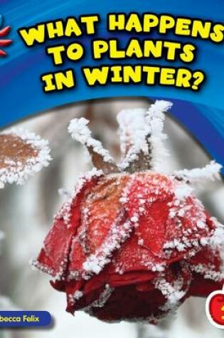 Cover of What Happens to Plants in Winter?