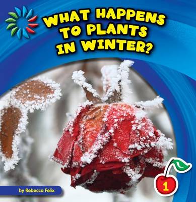 Cover of What Happens to Plants in Winter?