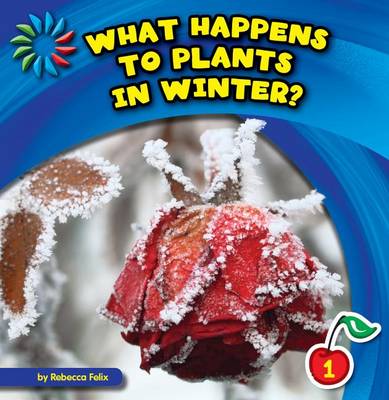 Book cover for What Happens to Plants in Winter?