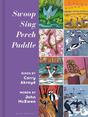 Book cover for Swoop Sing Perch Paddle