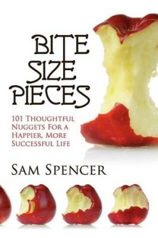 Cover of Bite Size Pieces