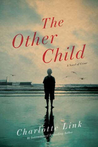 Cover of The Other Child