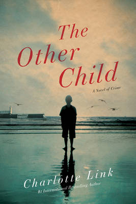 Book cover for The Other Child