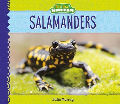 Book cover for Salamanders
