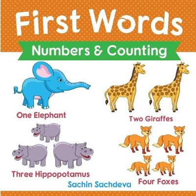 Book cover for First Words (Numbers & Counting)