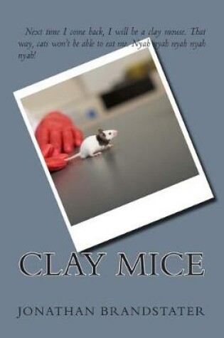 Cover of Clay Mice