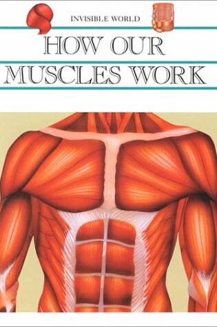 Cover of How Our Muscles Work