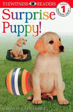 Book cover for DK Readers L1: Surprise Puppy