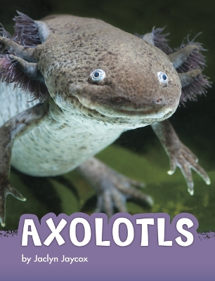 Book cover for Axolotls