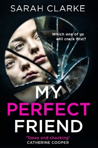 Cover of My Perfect Friend