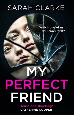 Book cover for My Perfect Friend