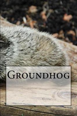 Book cover for Groundhog