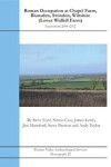 Book cover for Roman Occupation at Chapel Farm, Blunsden, Swindon, Wiltshire (Lower Widhill Farm)