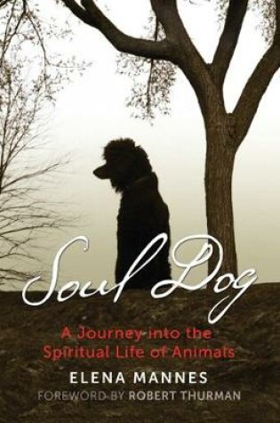Cover of Soul Dog