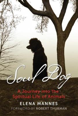 Book cover for Soul Dog