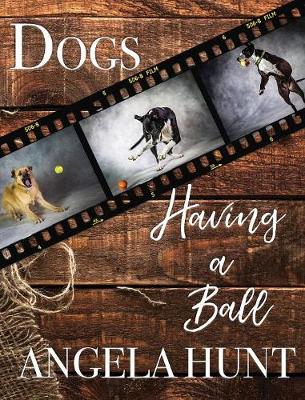 Book cover for Dogs Having a Ball