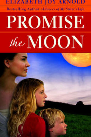 Cover of Promise the Moon