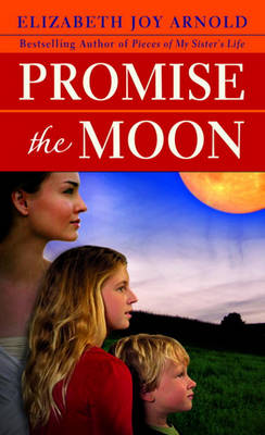 Book cover for Promise the Moon