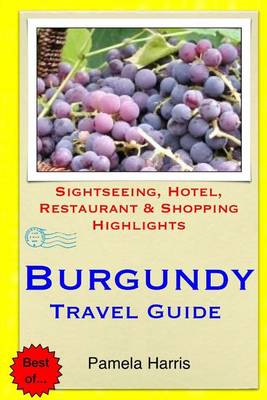 Book cover for Burgundy Travel Guide
