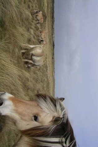 Cover of Norwegian Fjord Horses in a Field