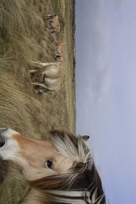 Book cover for Norwegian Fjord Horses in a Field