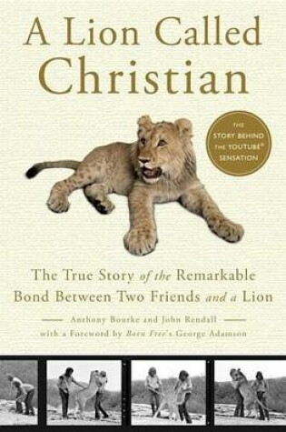 Cover of Lion Called Christian