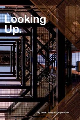 Book cover for Looking Up